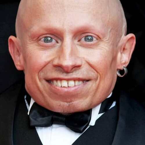 Verne Troyer