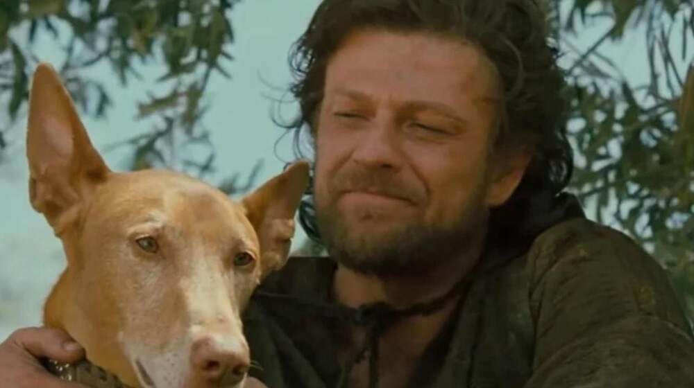 Esta escena de 'Troya' solo aparece en su versi&oacute;n extendida, pero si sabes algo de la Grecia cl&aacute;sica te emocionar&aacute;