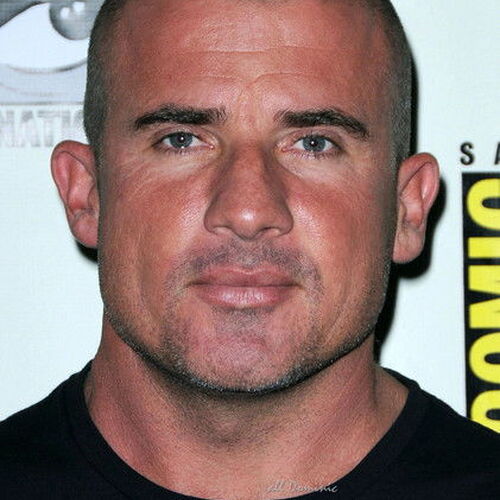 Dominic Purcell