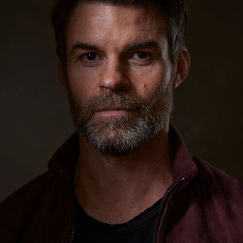 Daniel Gillies