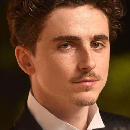 Timothée Chalamet