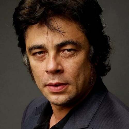 Benicio del Toro