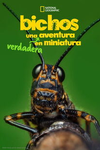 Bichos: la Verdadera Aventura
